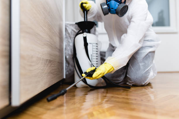Best Affordable Pest Control Services  in Iona, FL