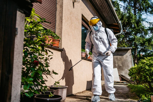 Best Pest Inspection Near Me  in Iona, FL