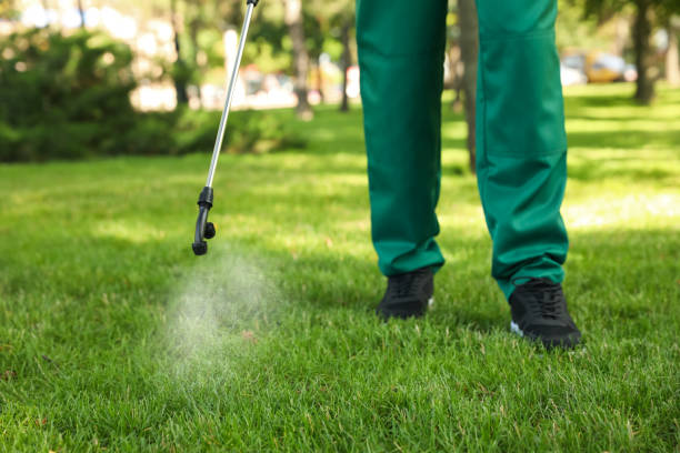 Best Ant Control Services  in Iona, FL
