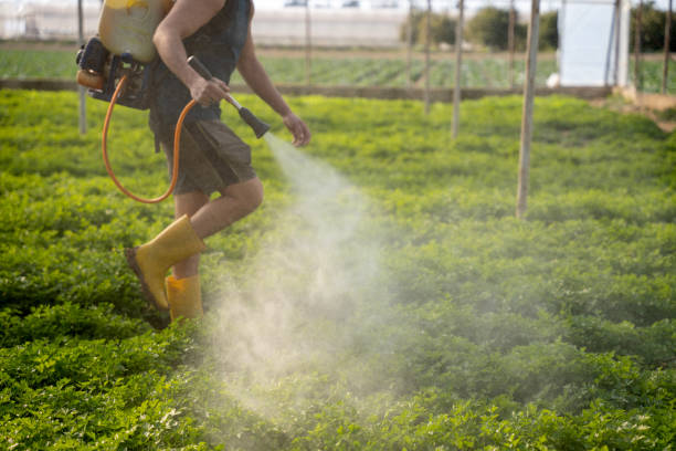 Best Pest Control for Restaurants  in Iona, FL