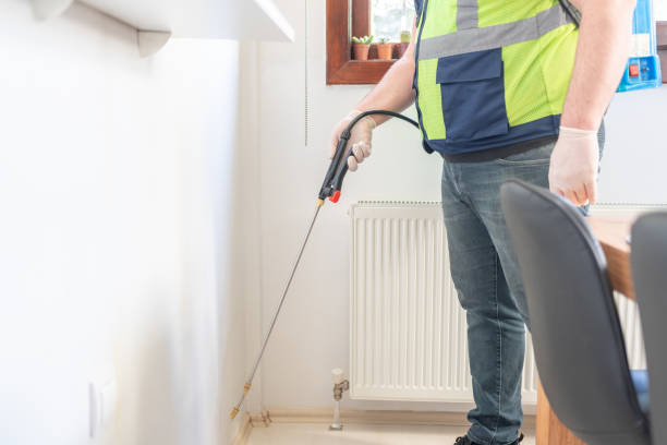 Best Local Pest Control Services  in Iona, FL