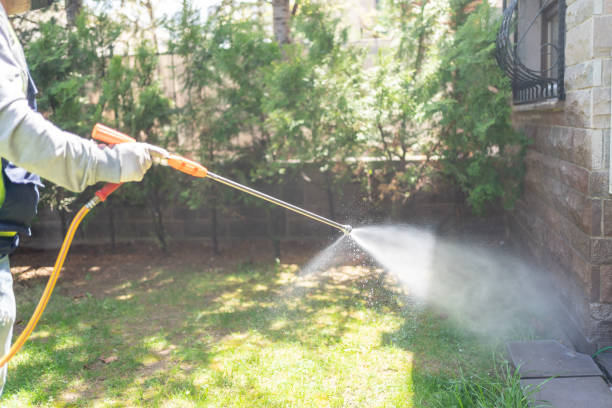 Best Residential Pest Control  in Iona, FL