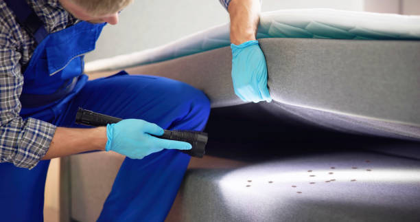 Best Flea Control Services  in Iona, FL