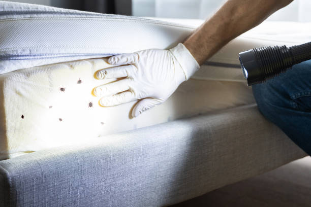 Iona, FL Pest Control Company