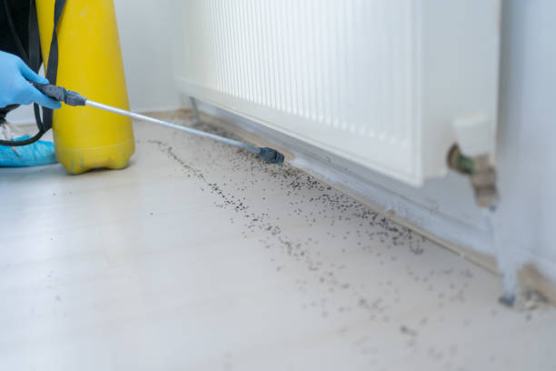 Best Exterminator Services  in Iona, FL