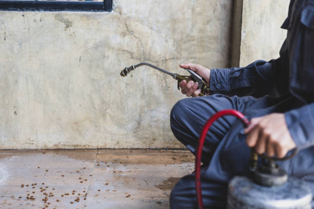 Best Wasp Removal Services  in Iona, FL